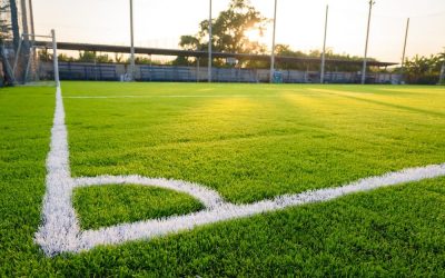 Glosario de Grama Sintética